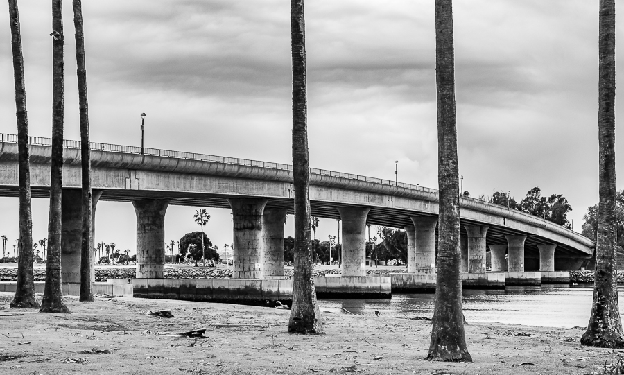 Palm trees and bridges – San Diego,&nbsp;California
