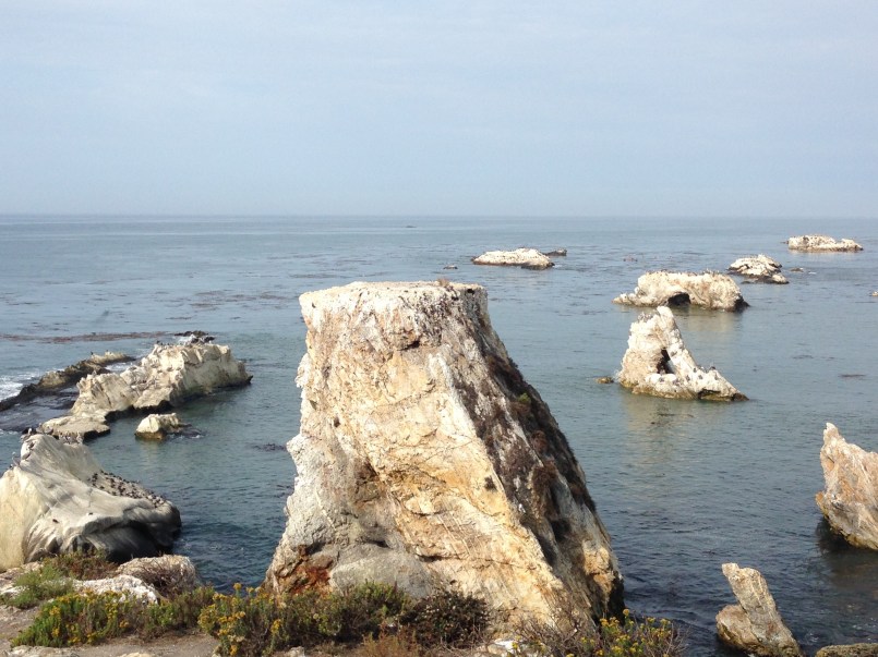 Shell Beach, SLO, CA