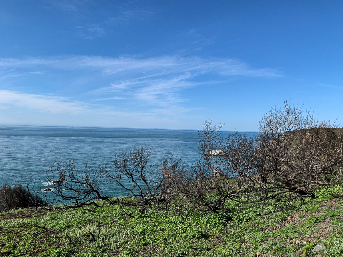 WW-After the fire - North Coast-8379