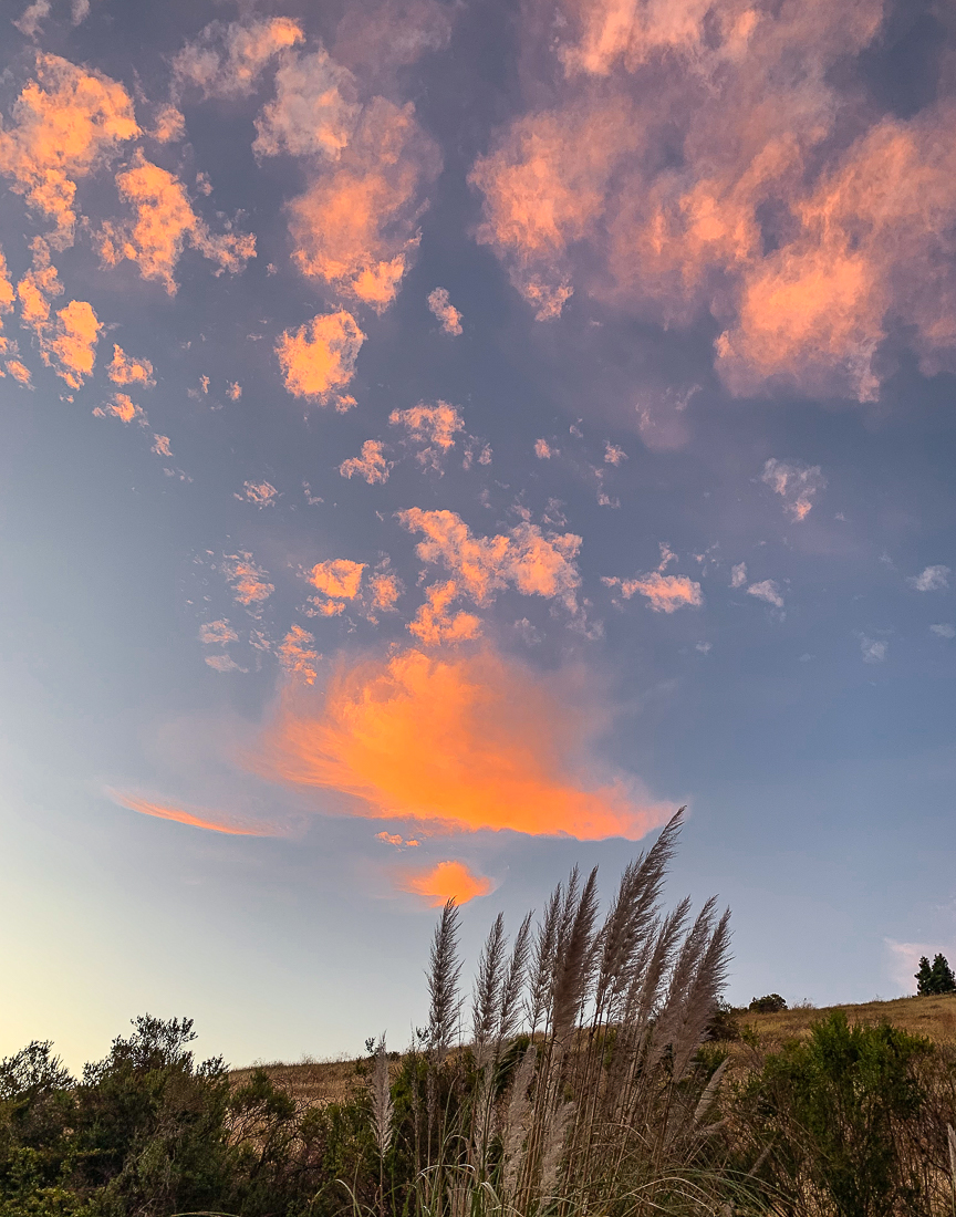 Painting clouds on a summer&nbsp;evening