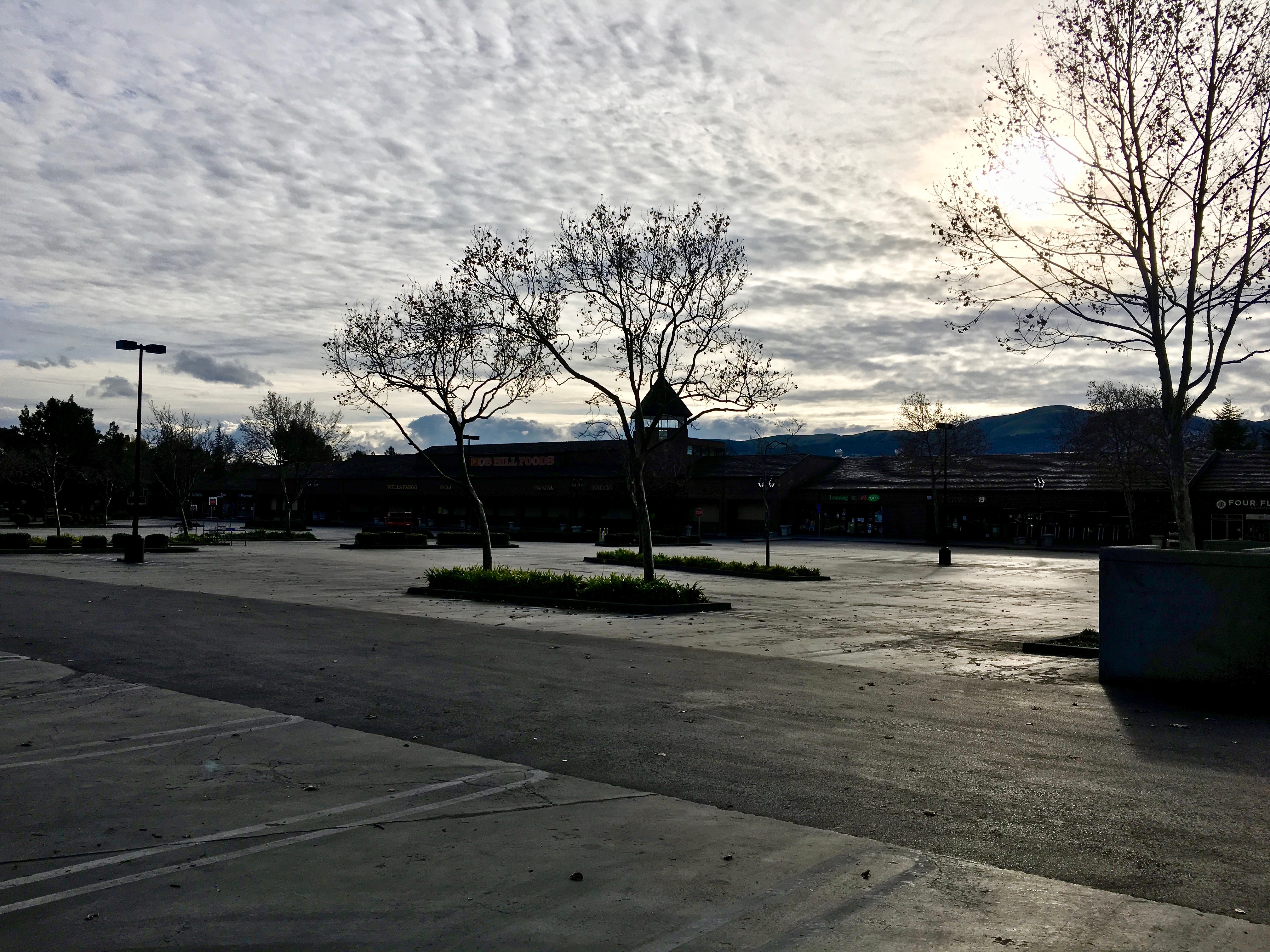 christmas-parking-lot