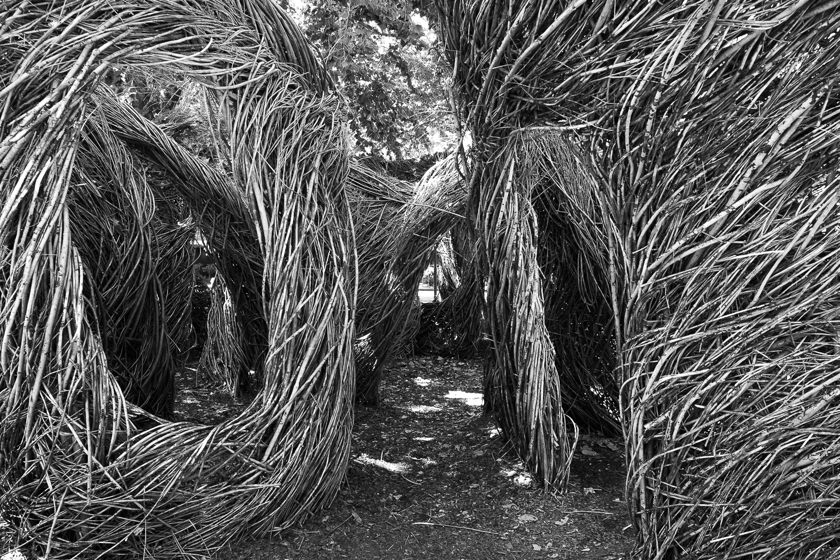 Monochrome Mondays- Art Installation-5025