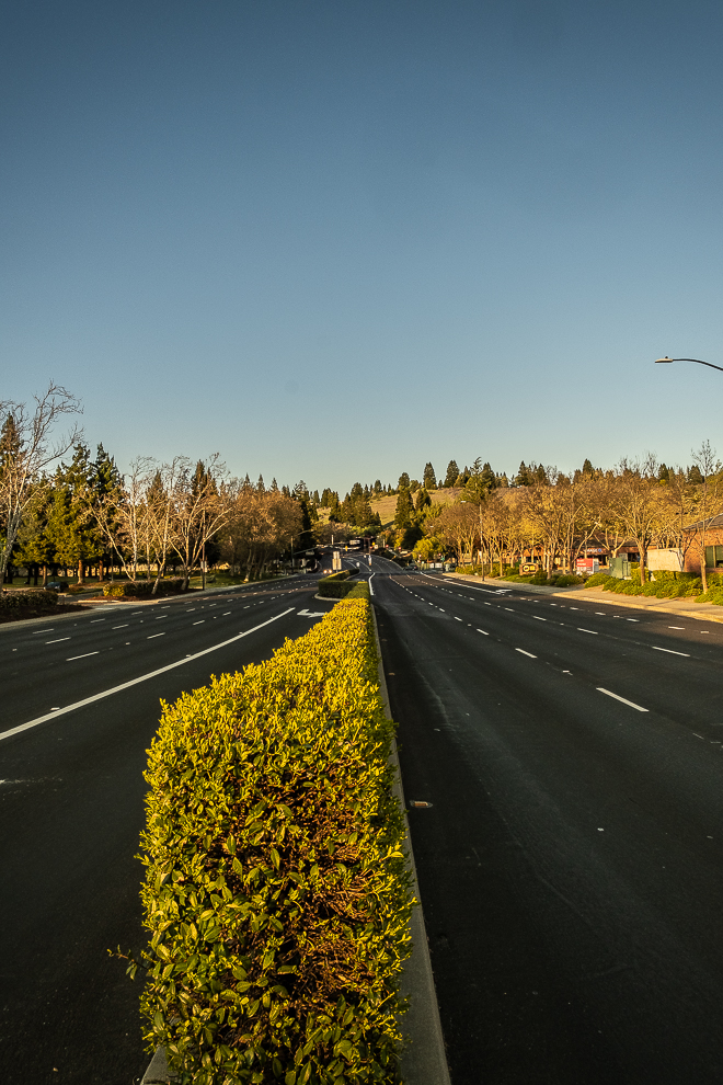 Lens-Artists- Distance-0322