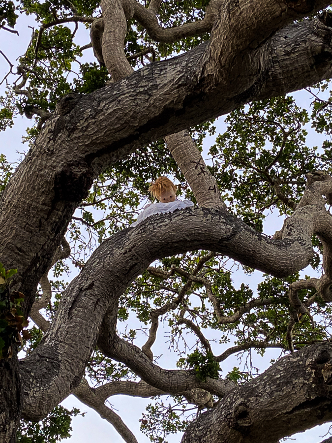 A Felliniesque moment in the&nbsp;park