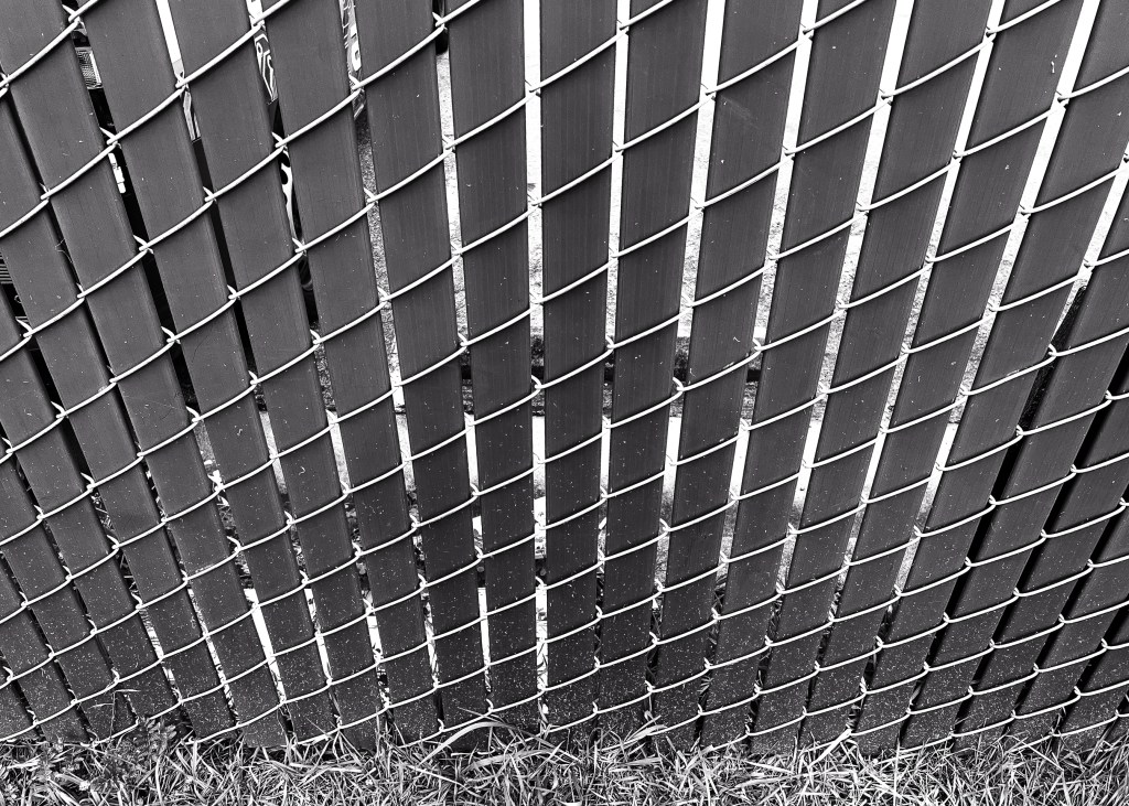 Monochrome Mondays: Busy&nbsp;mind