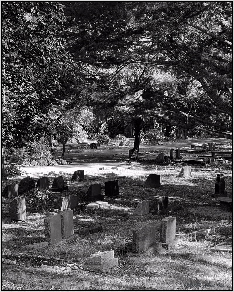 Monochrome Mondays: Haven