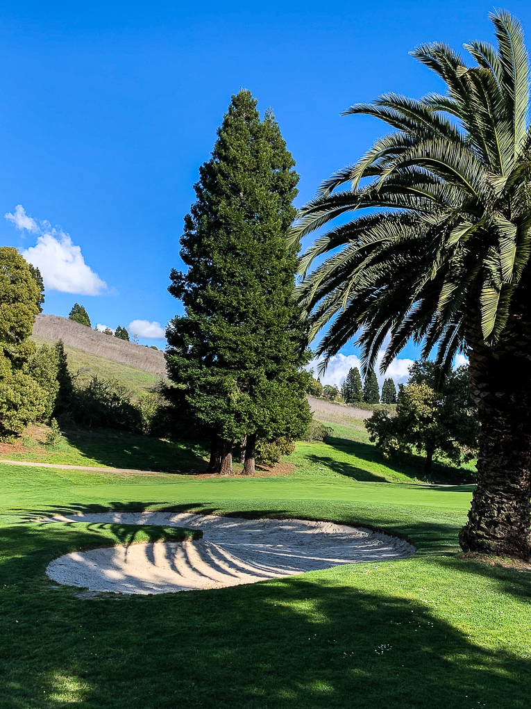 Shadow caught in a sand trap-8668