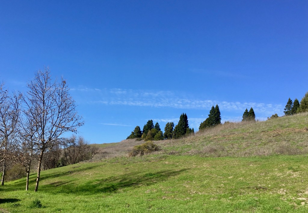 Seventy plus degrees