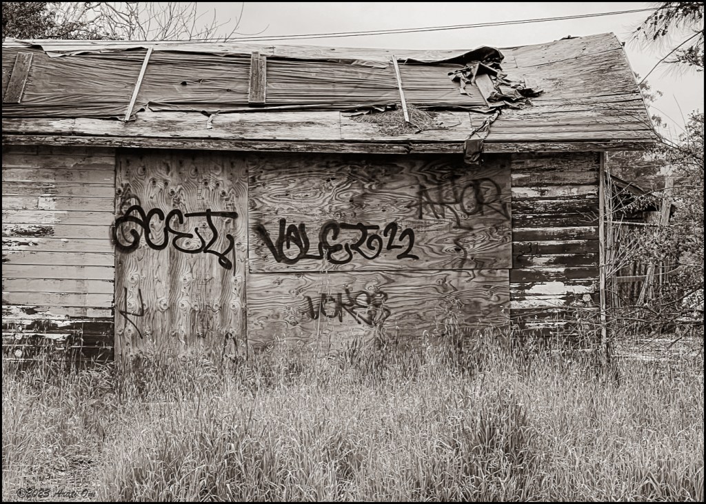 Monochrome Mondays: Untended on 7th&nbsp;Ave.