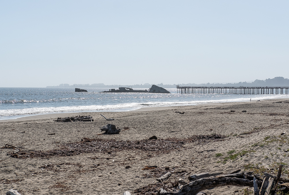 Seacliff Beach-4864