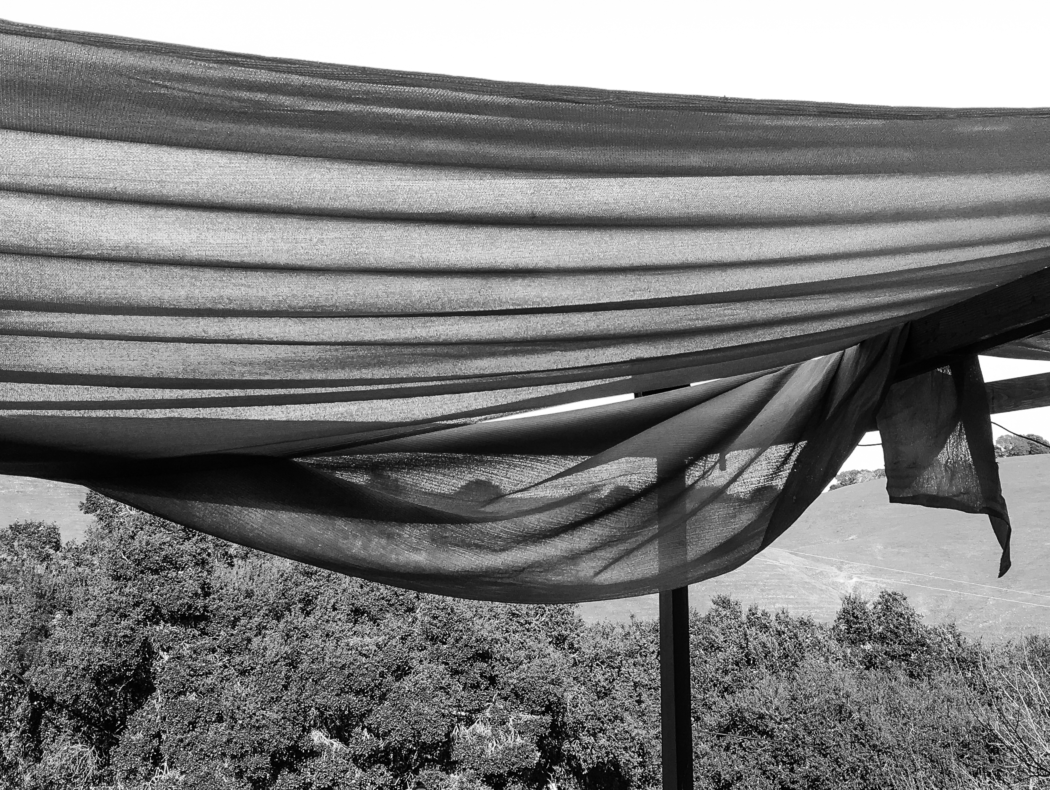 Shrouded landscape-4470