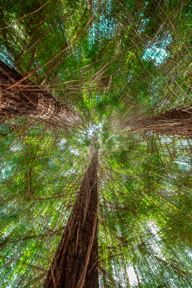 Lens-Artists Home-0171