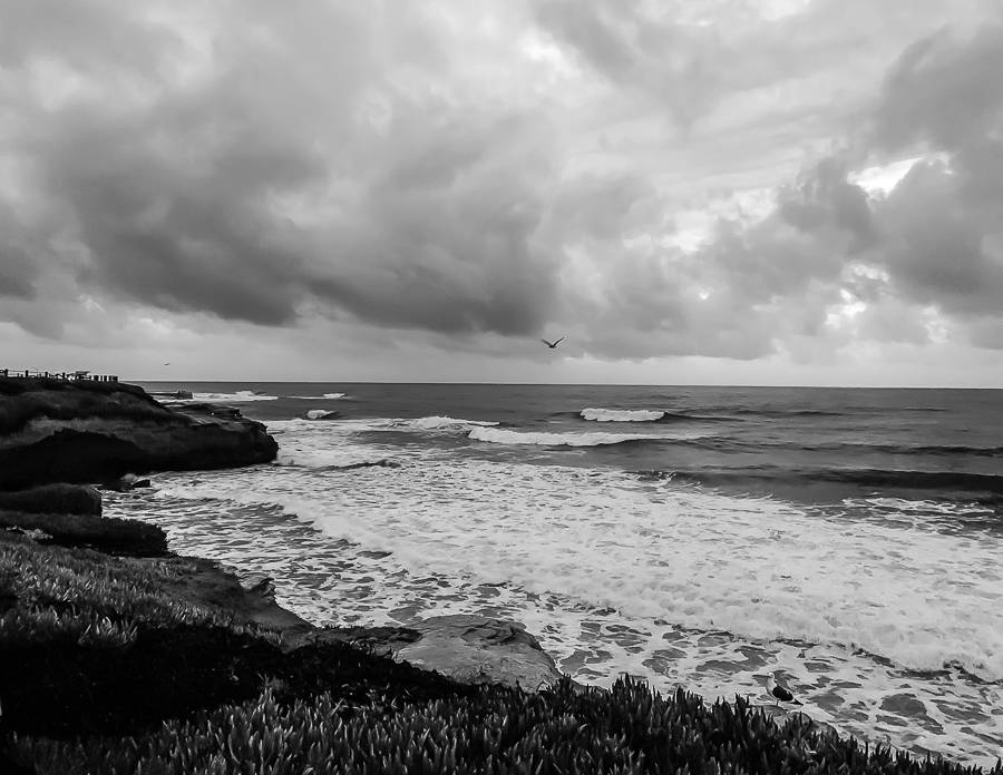 WW-The Cove, La Jolla-6229