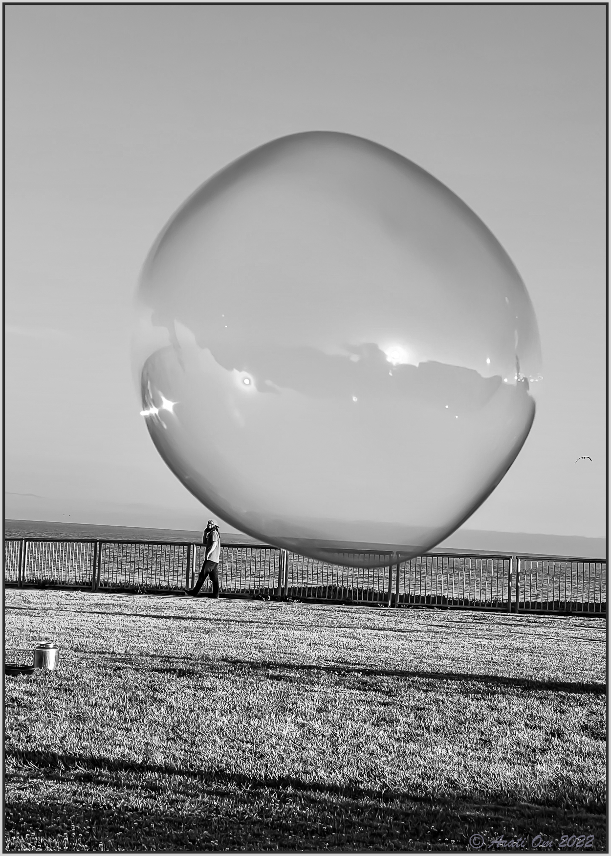 Monochrome Mondays: Bubble