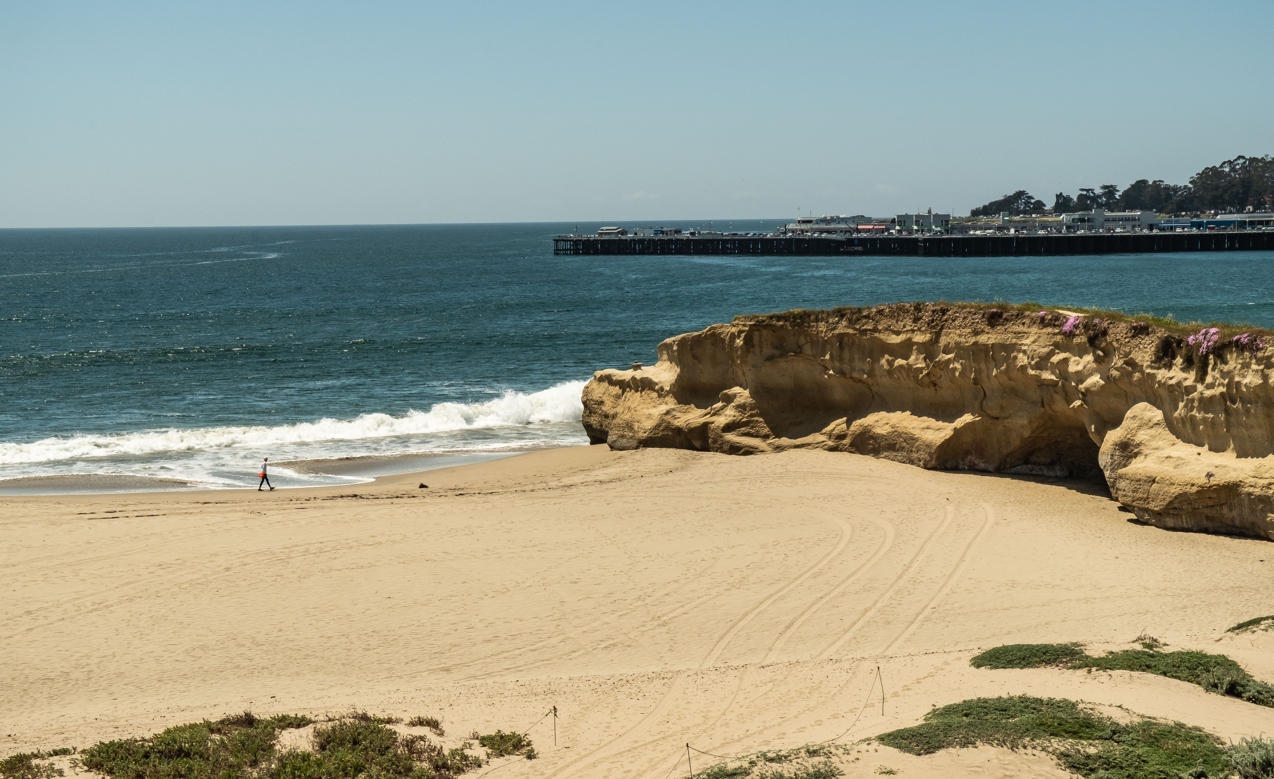 Beach day - Santa Cruz-1294