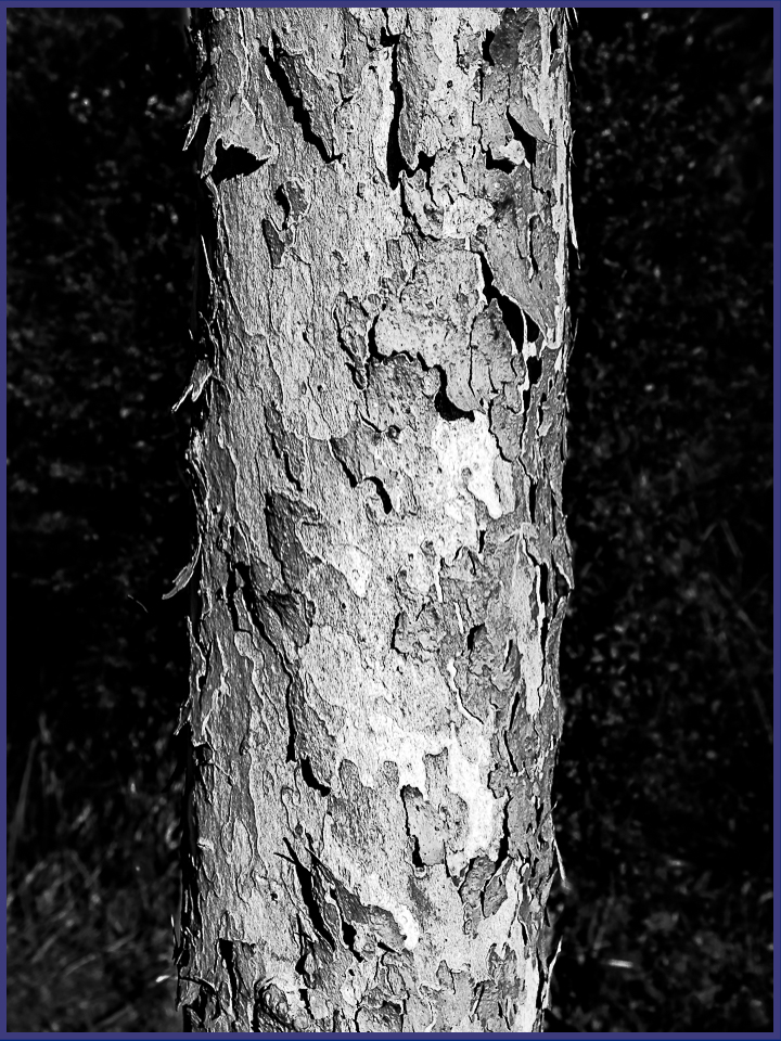 Monochrome Mondays: Layers