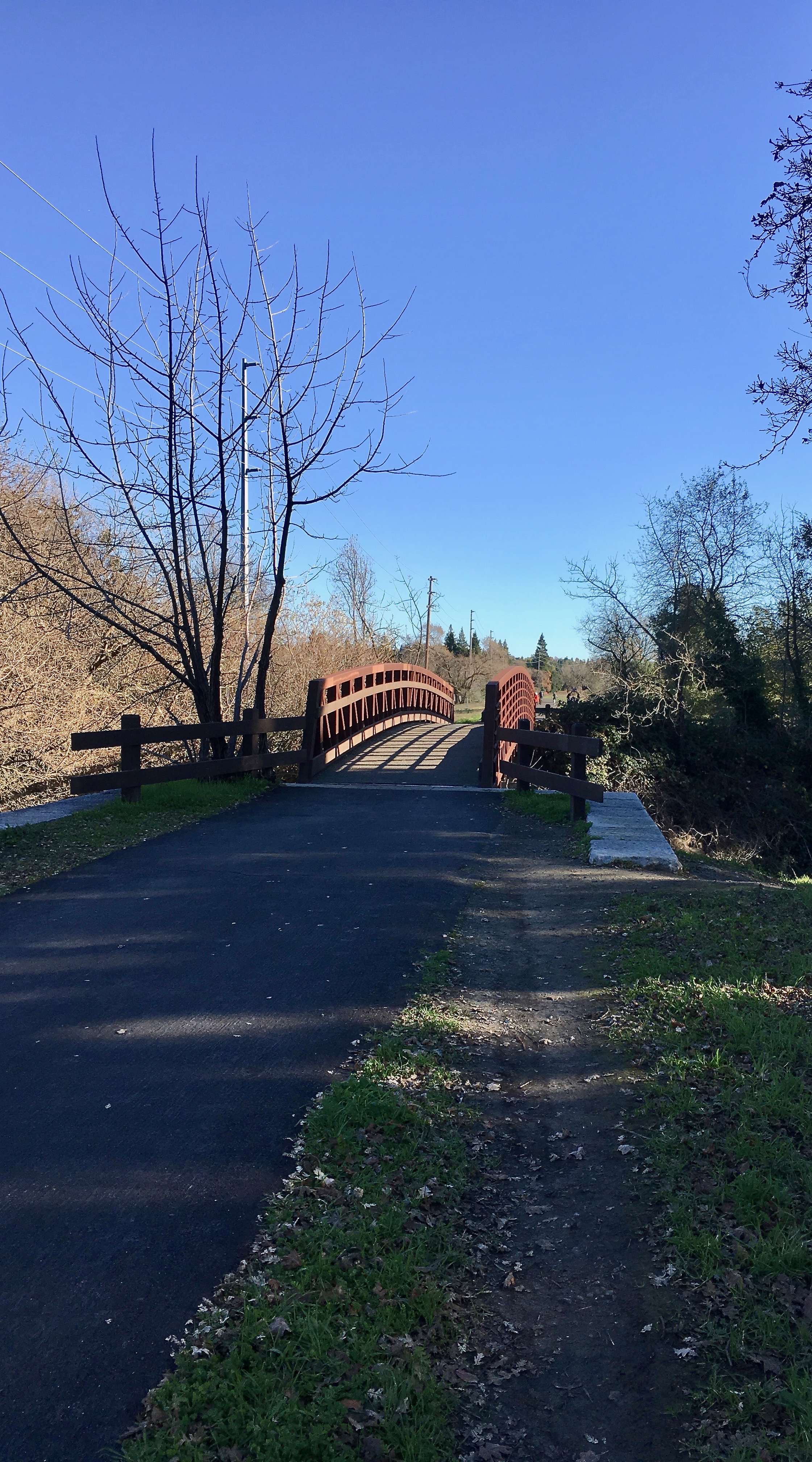 iron-horse-trail-bridge