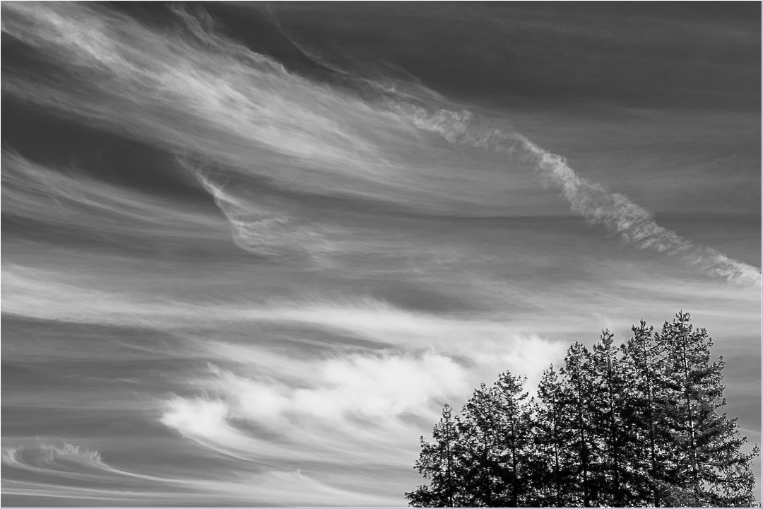 Monochrome Mondays