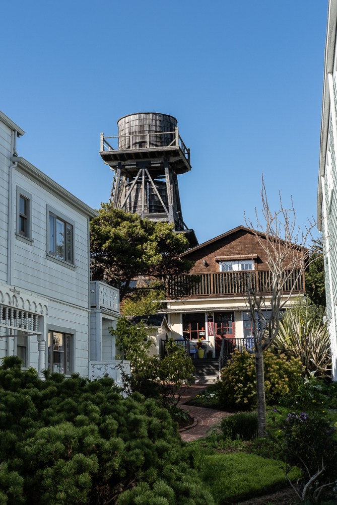 70th birthday Mendocino-6941