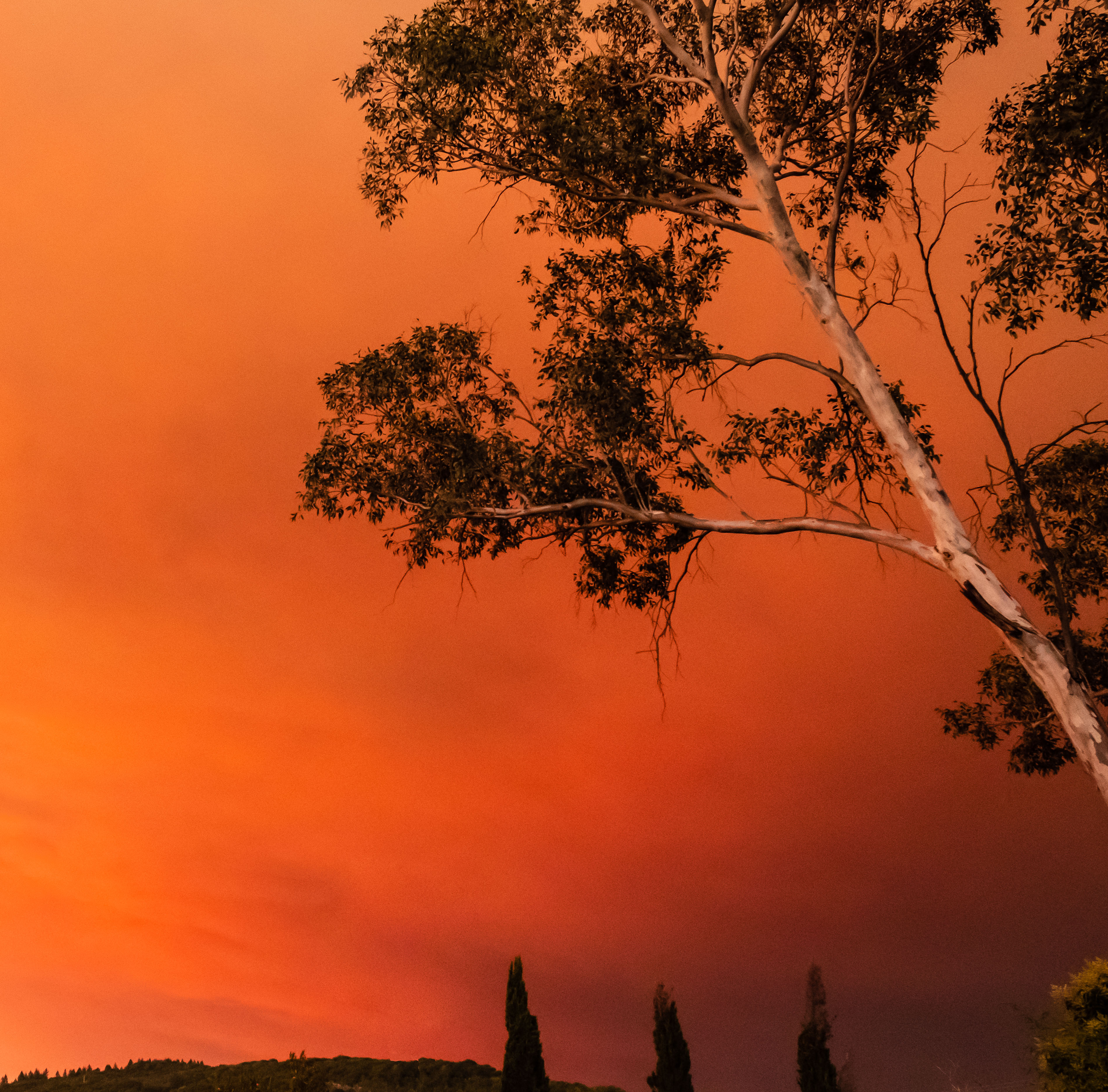 Fiery Sunset from Yolo county-2164