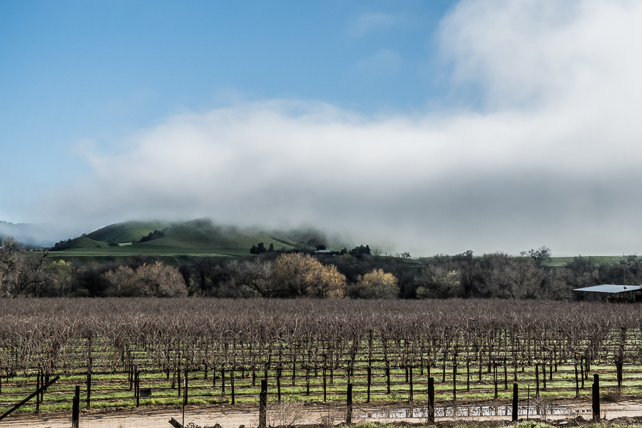 Morning along the Salinas-3920