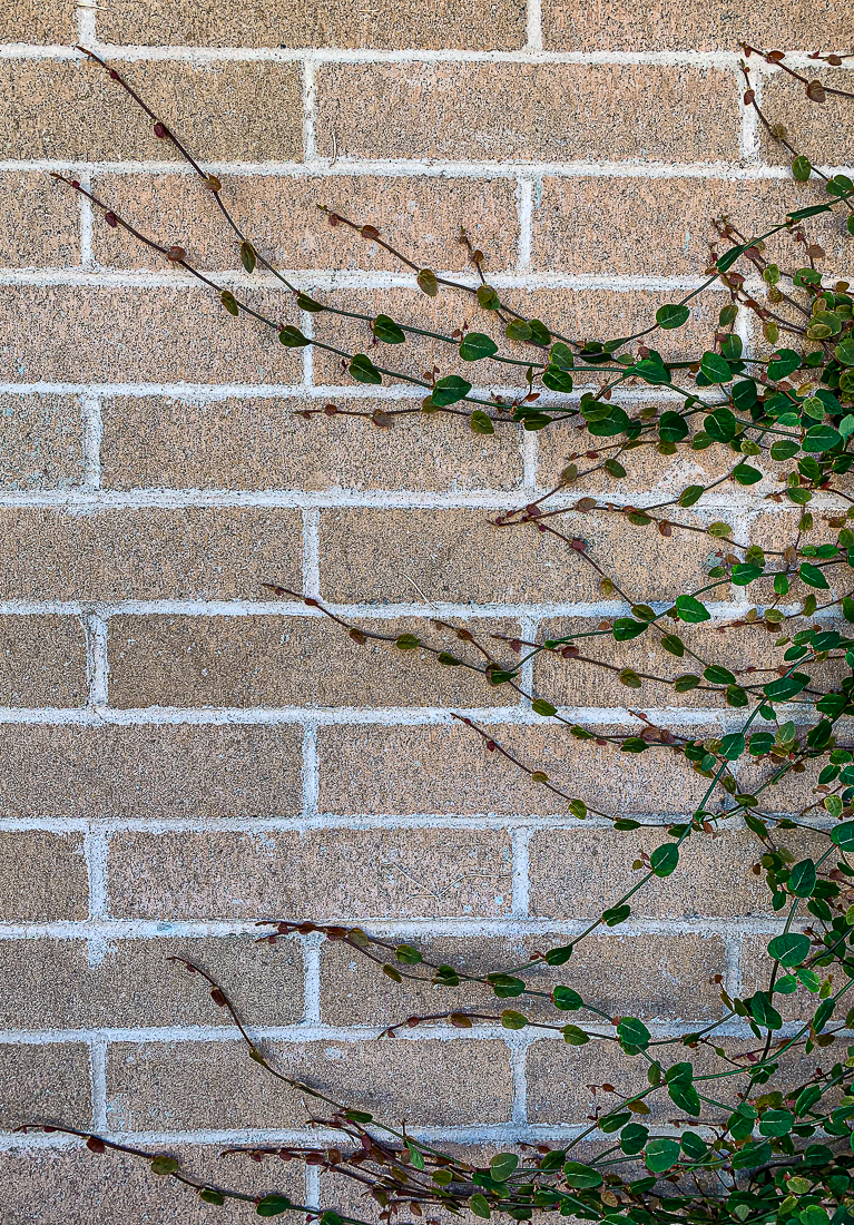 Lens-Artists Photo Challenge #60 – Framing the&nbsp;shot