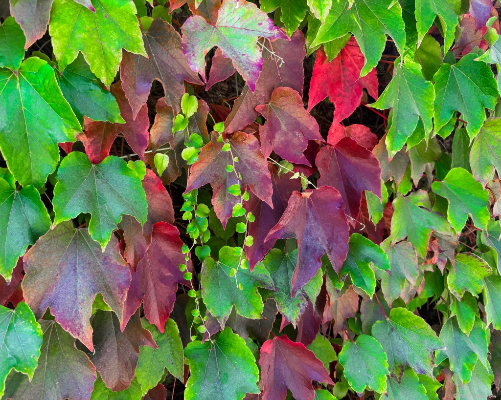 Fall is in the&nbsp;air