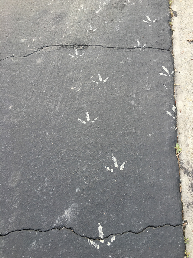 They’re around and getting&nbsp;bigger