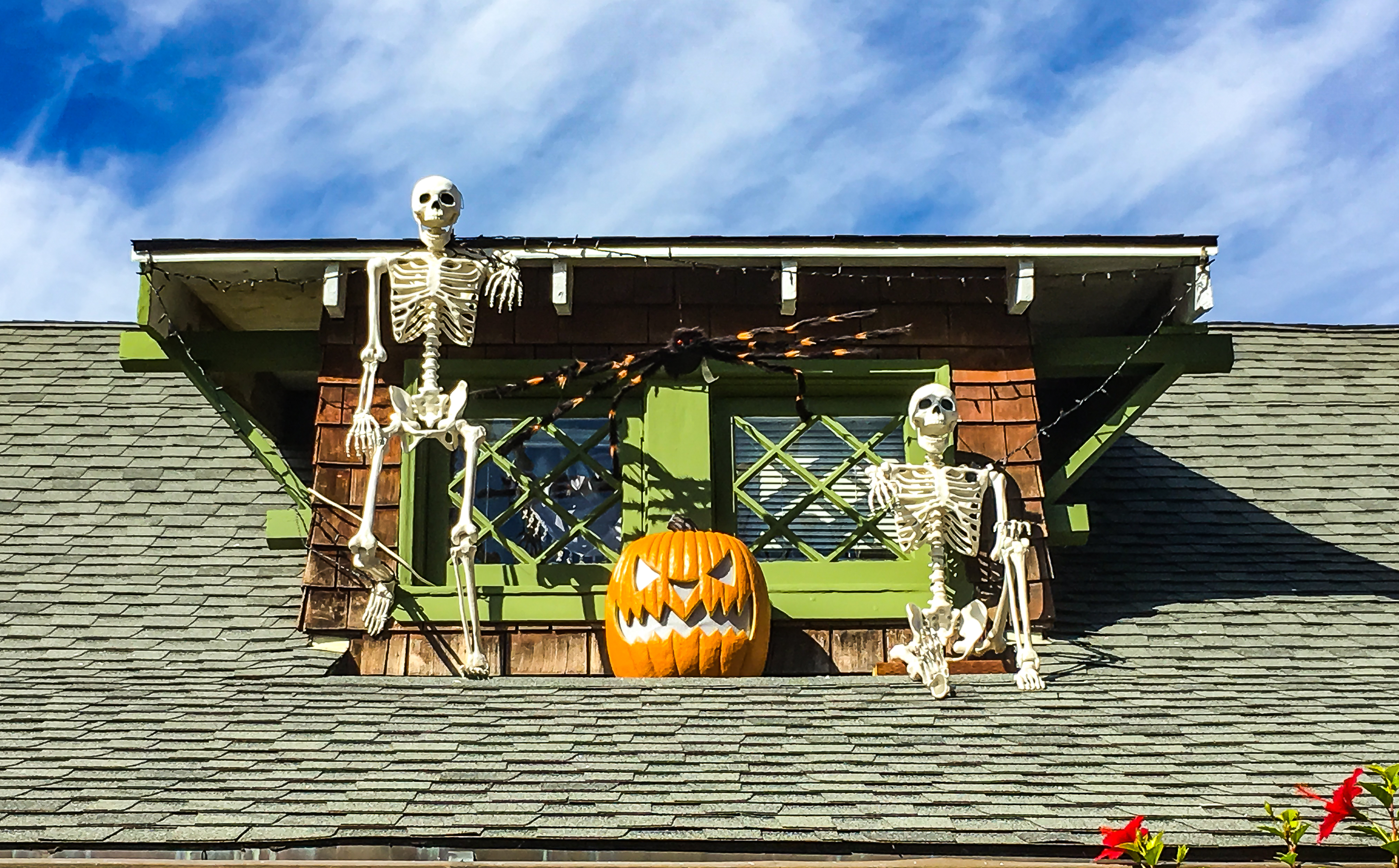 WW-Halloween - Berkeley-5460