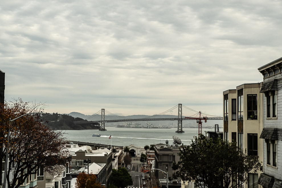 SF-1-1-20 - Telegraph Hill-6171