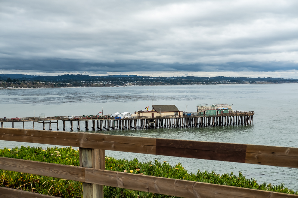 Hanging out with the birds - Capitola-5719