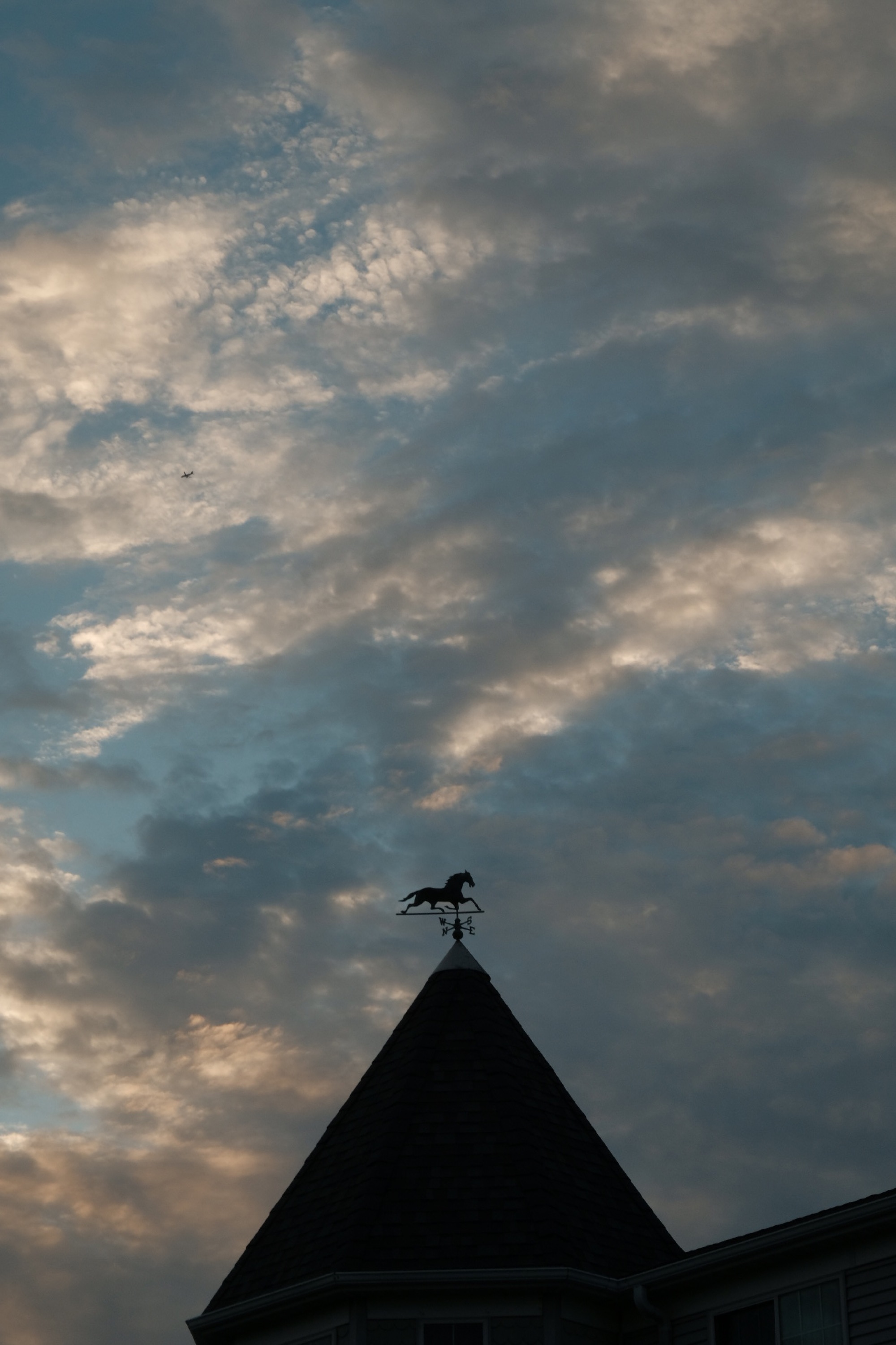 Wordless Wednesday