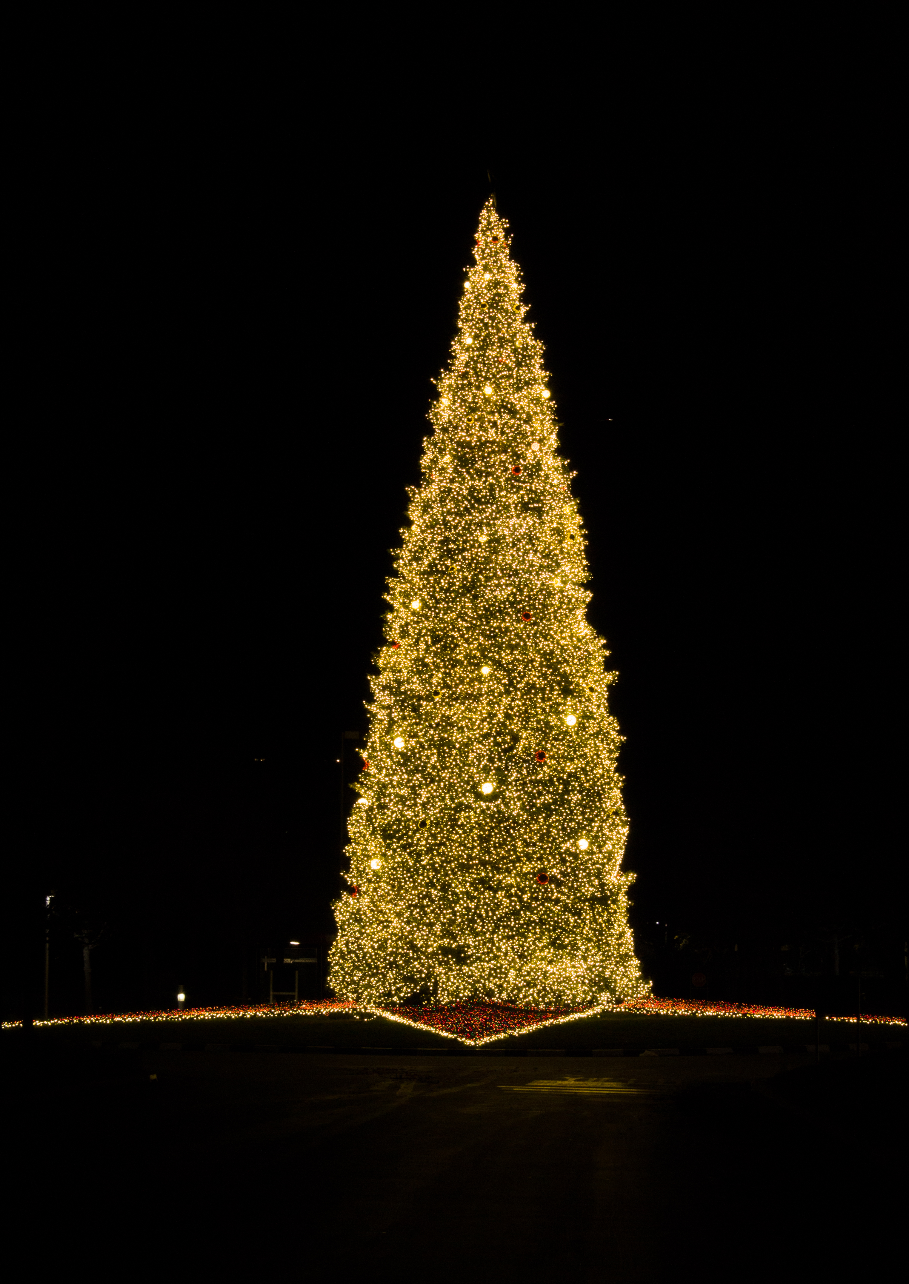 San Ramon Christmas Tree-1540