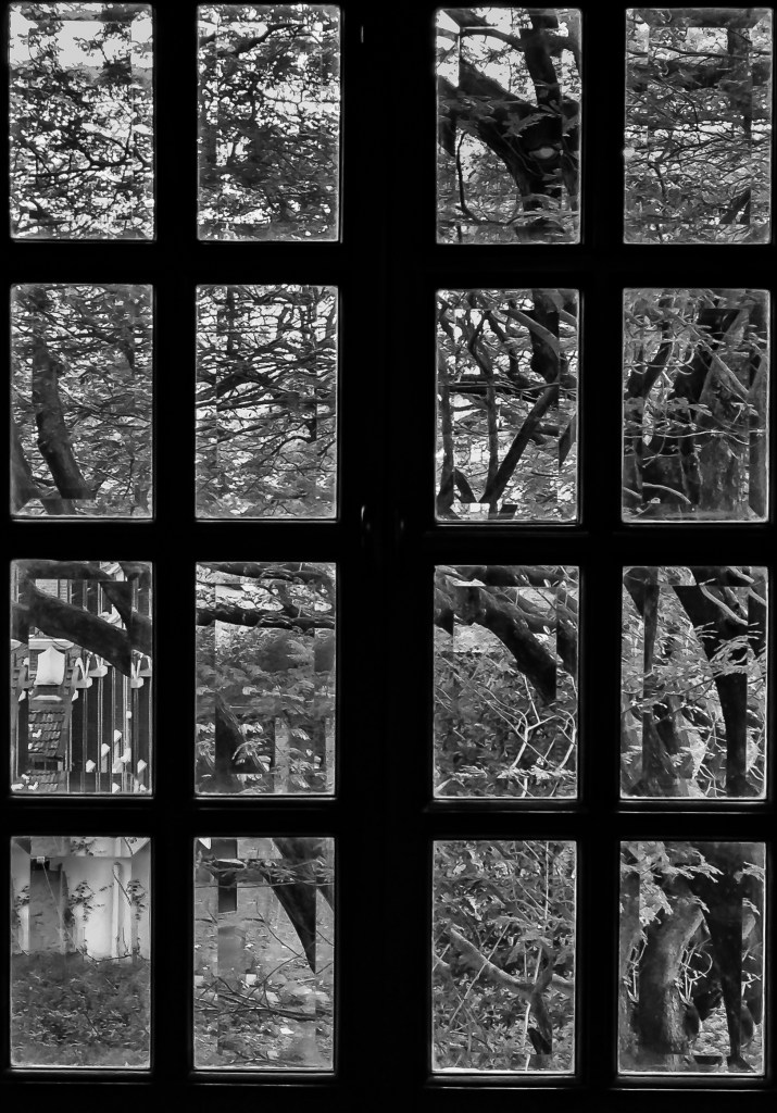 B&amp;W Bevelled Glass -0977