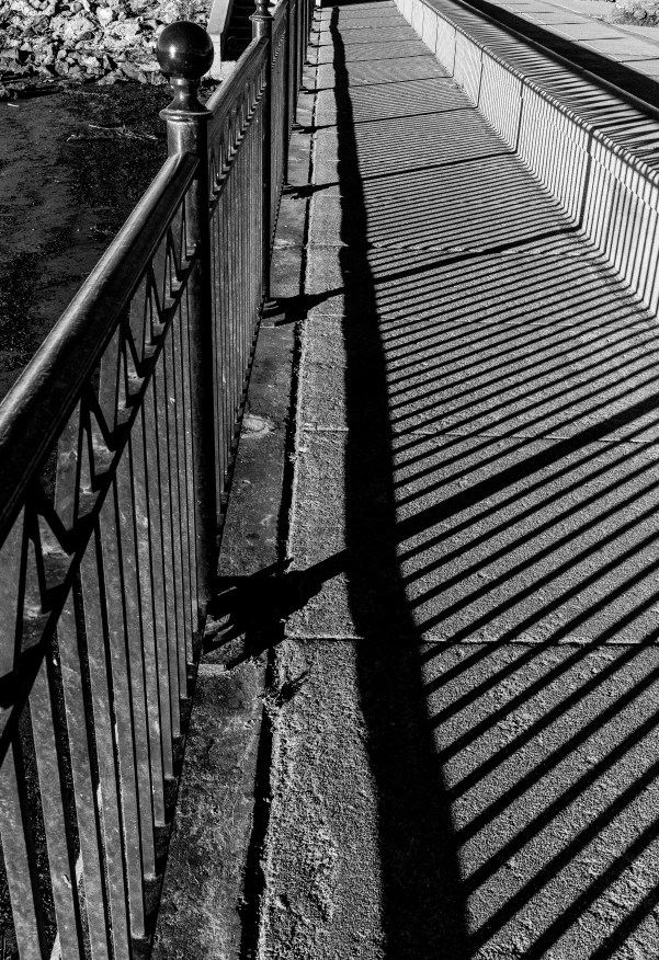 WW-Striped path Benicia-2657