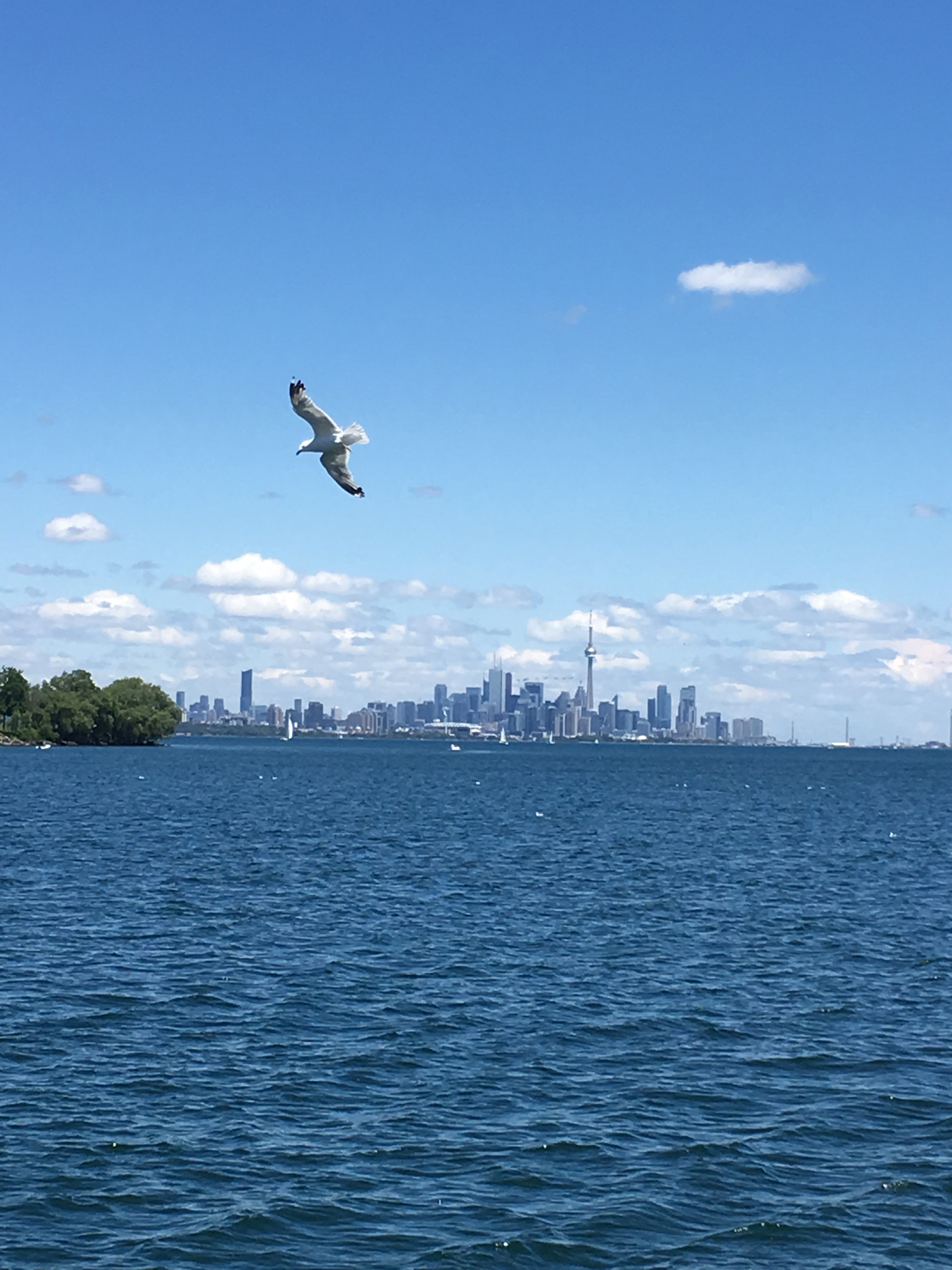 Lake Ontario-Toronto