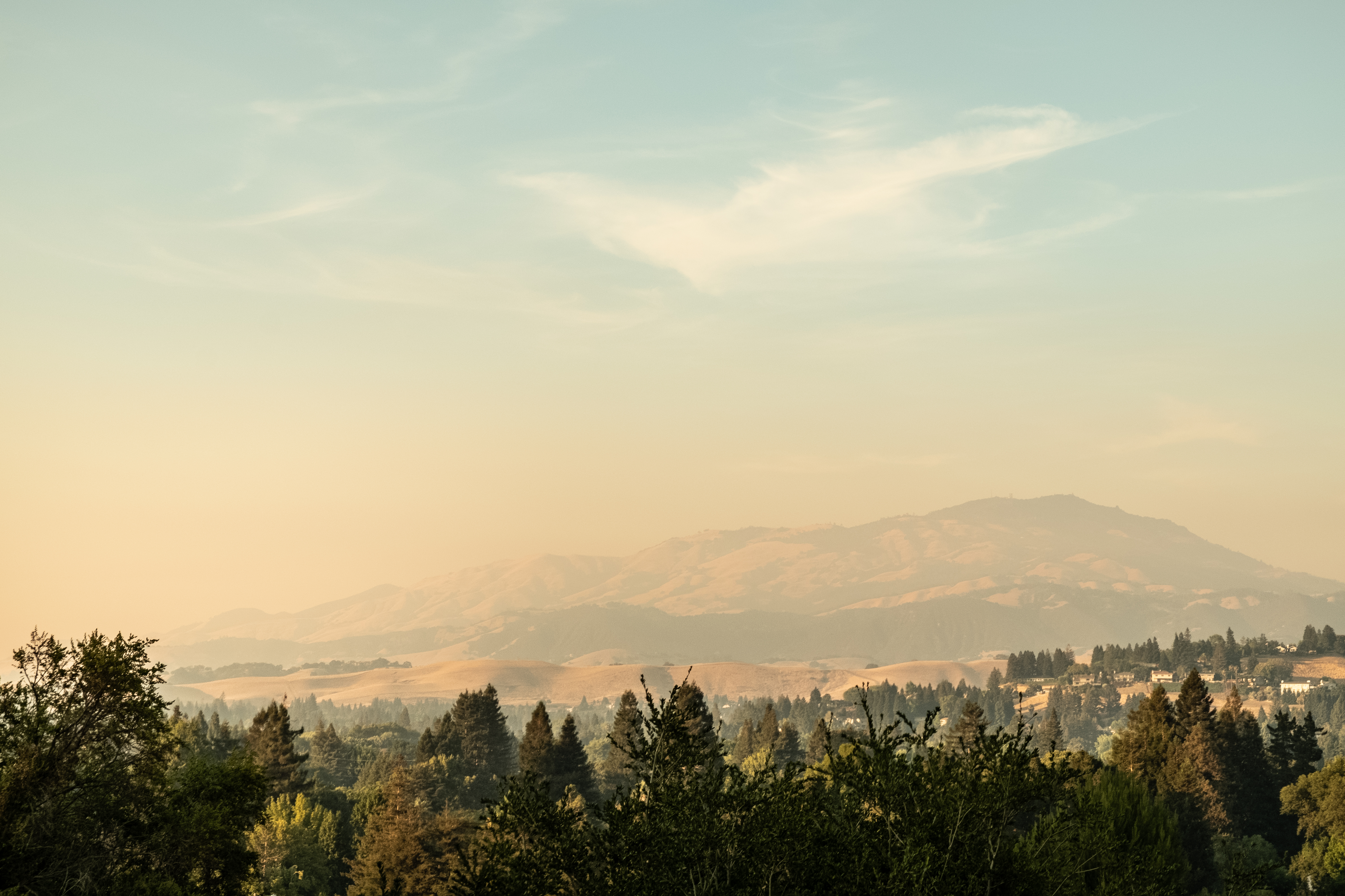 Smokey afternoons-2297