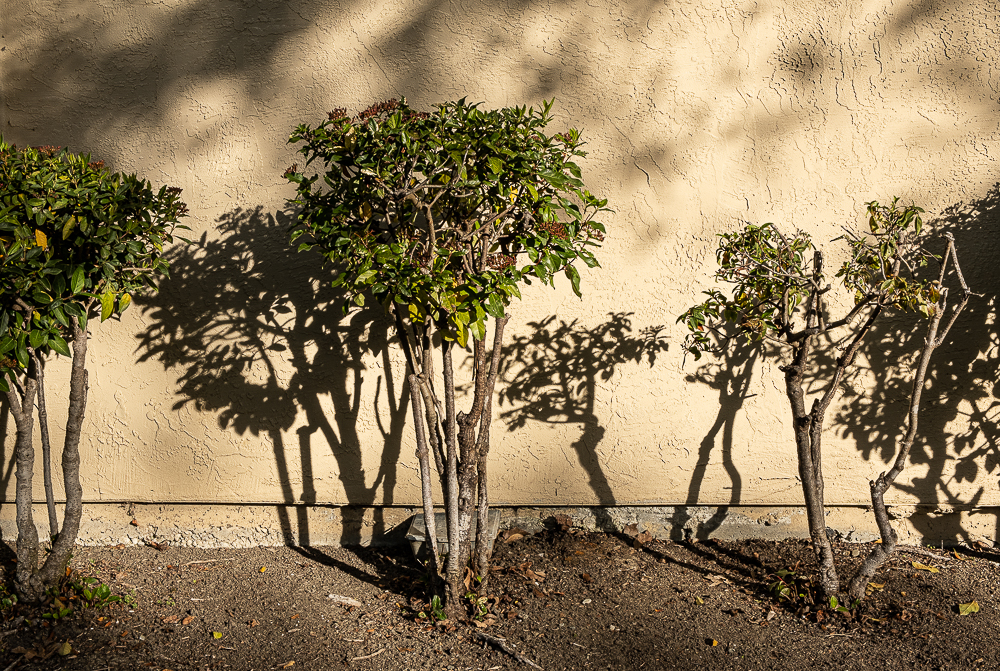 Lens-Artists Challenge # 93 –&nbsp;Morning