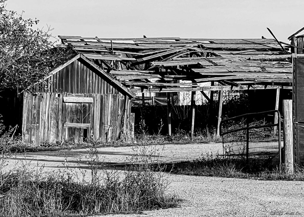Monochrome Mondays: Dilapidated and still standing in&nbsp;Watsonville