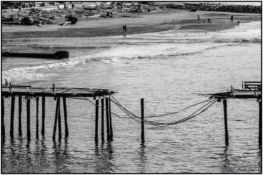 Monochrome Mondays: Wounded