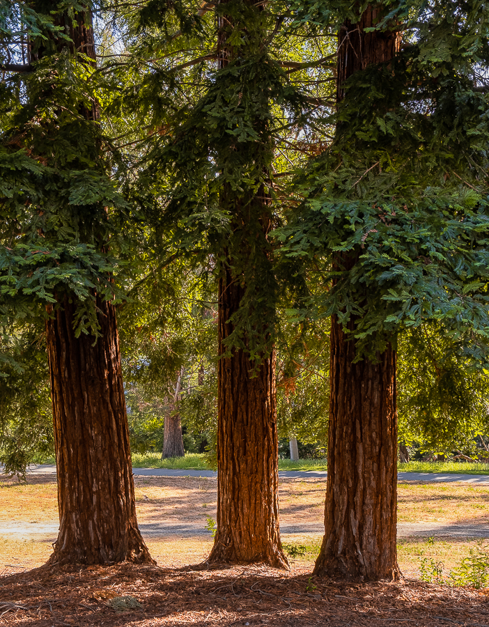 Lens Artists- Refuge-0332-2