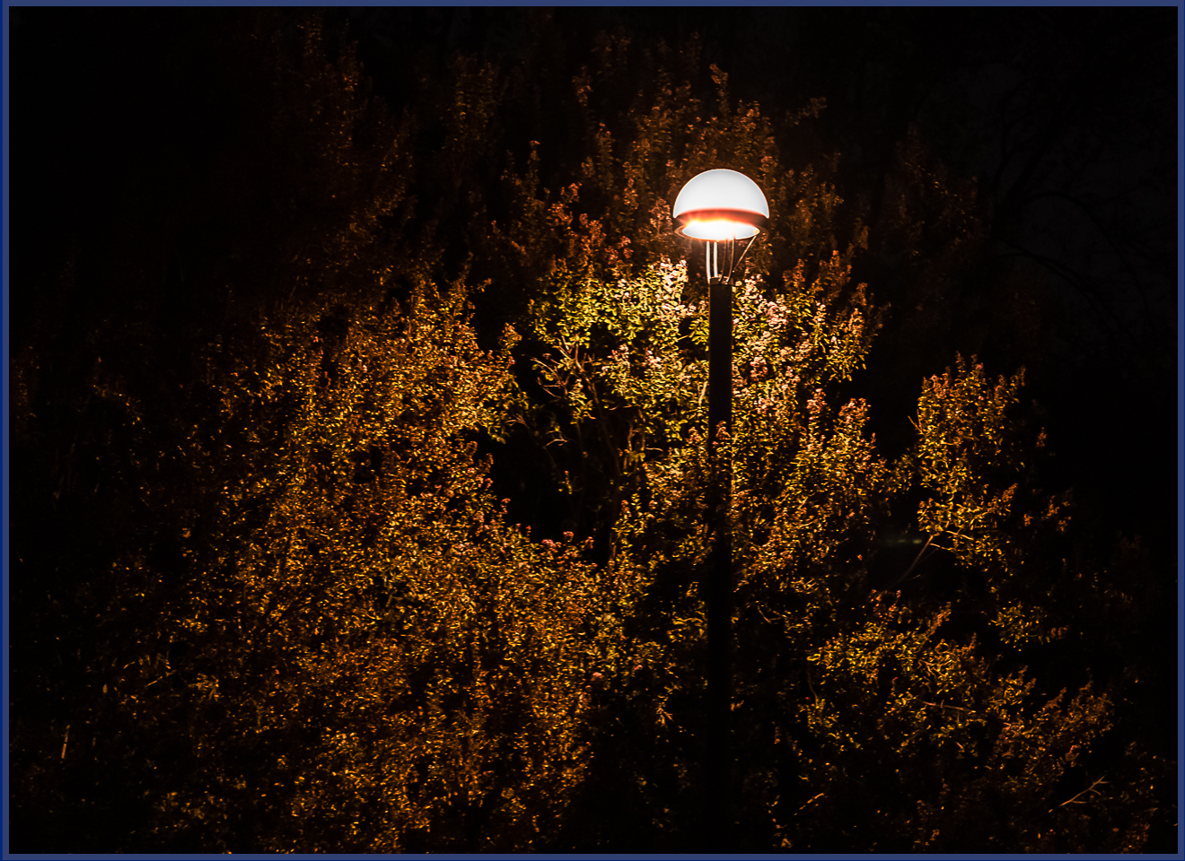 Wordless Wednesday