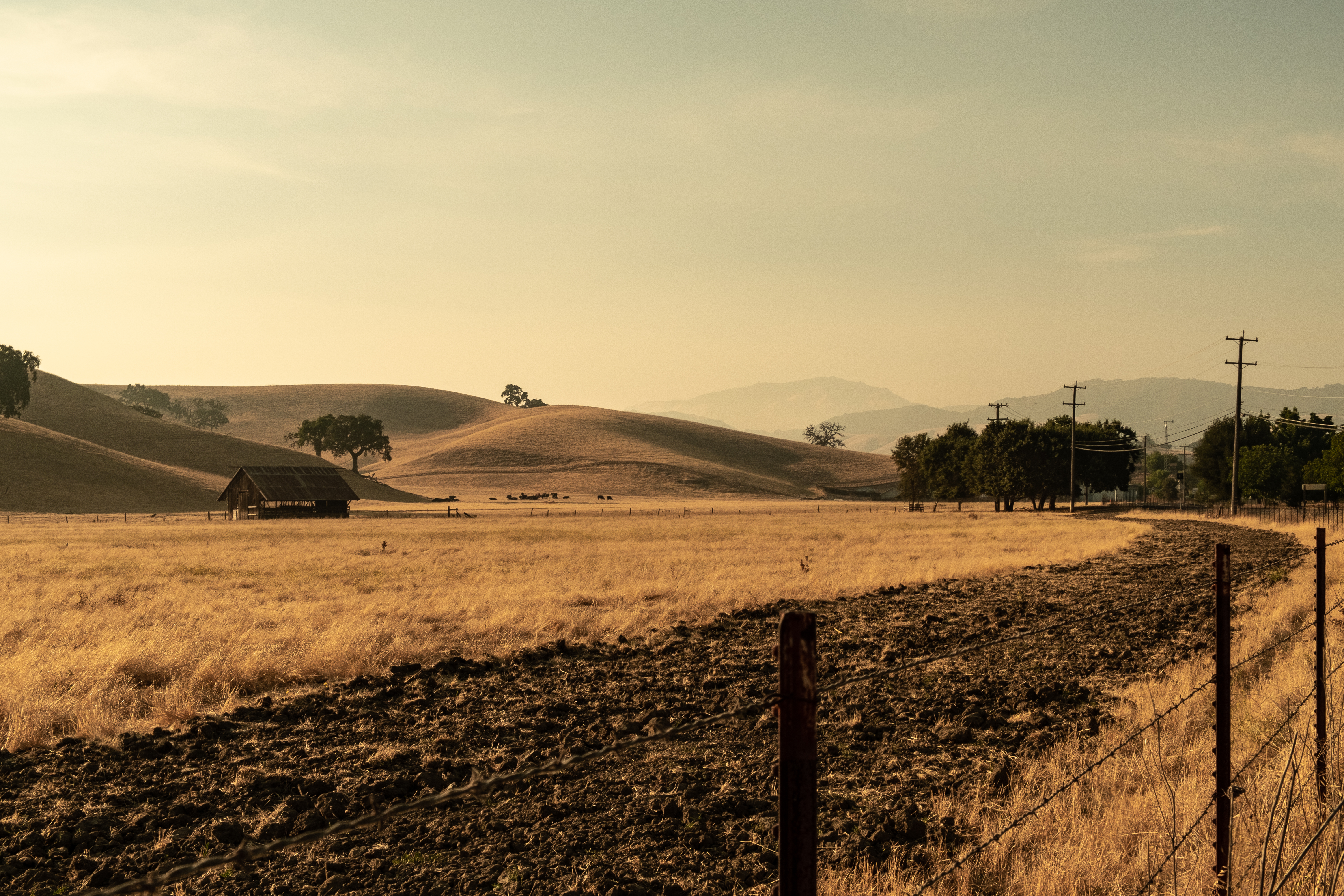 Smokey afternoons-2288