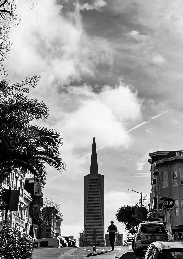Walking the dog - Telegraph Hill