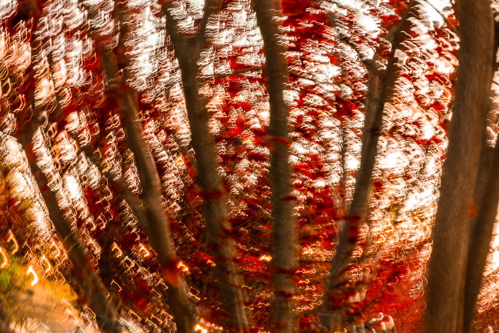 Playing with lights-0263