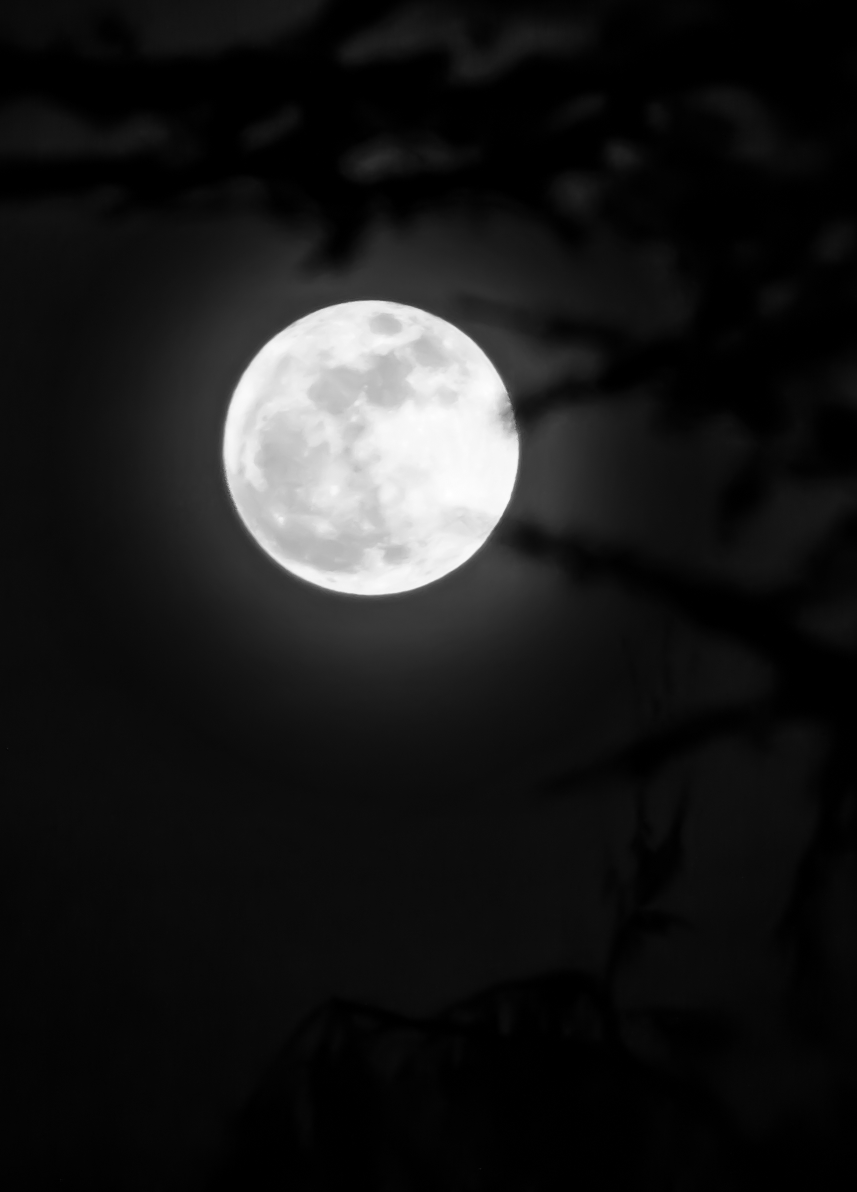 Moon Jan 1 2018 f-1614