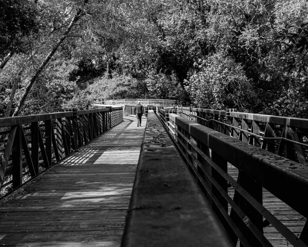 Monochrome Mondays: Morning&nbsp;walk