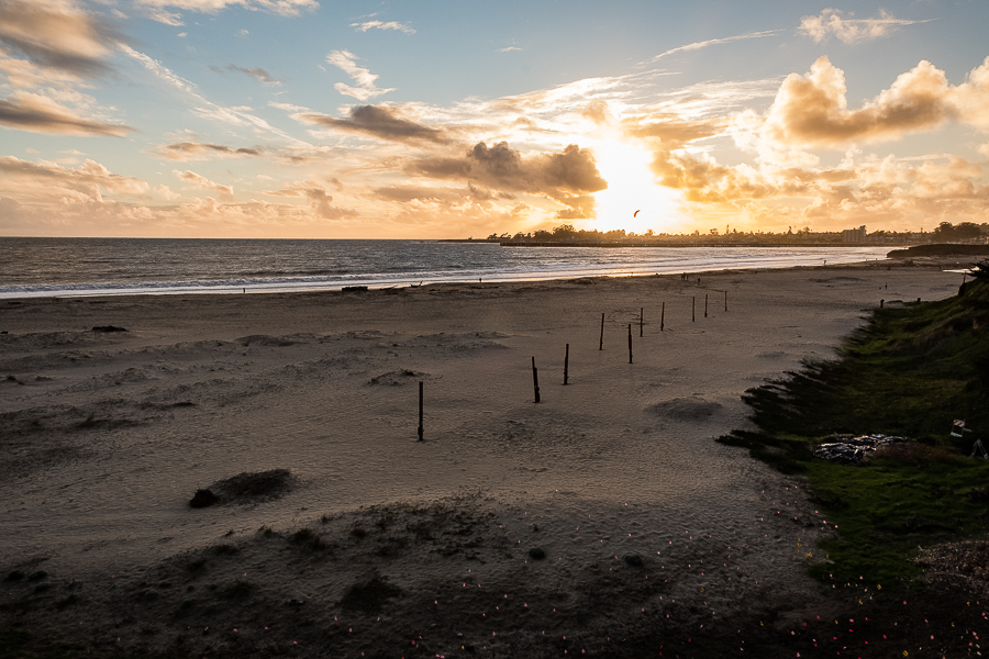 SC Winter Storm-3299