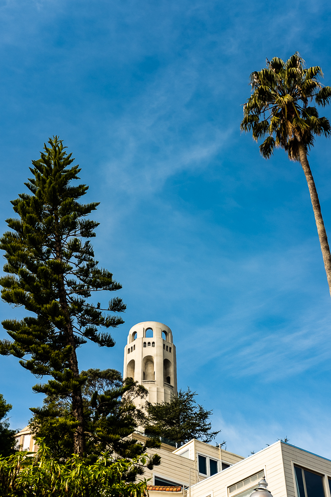SF-1-1-20 - Telegraph Hill-6096