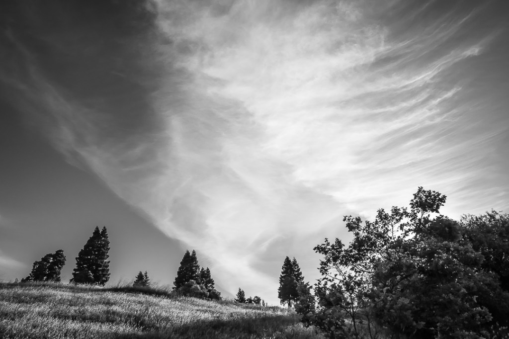 Monochrome Mondays: Morning&nbsp;light